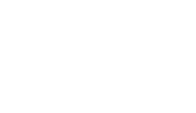 Virtus Laboris — Consultoria Comercial